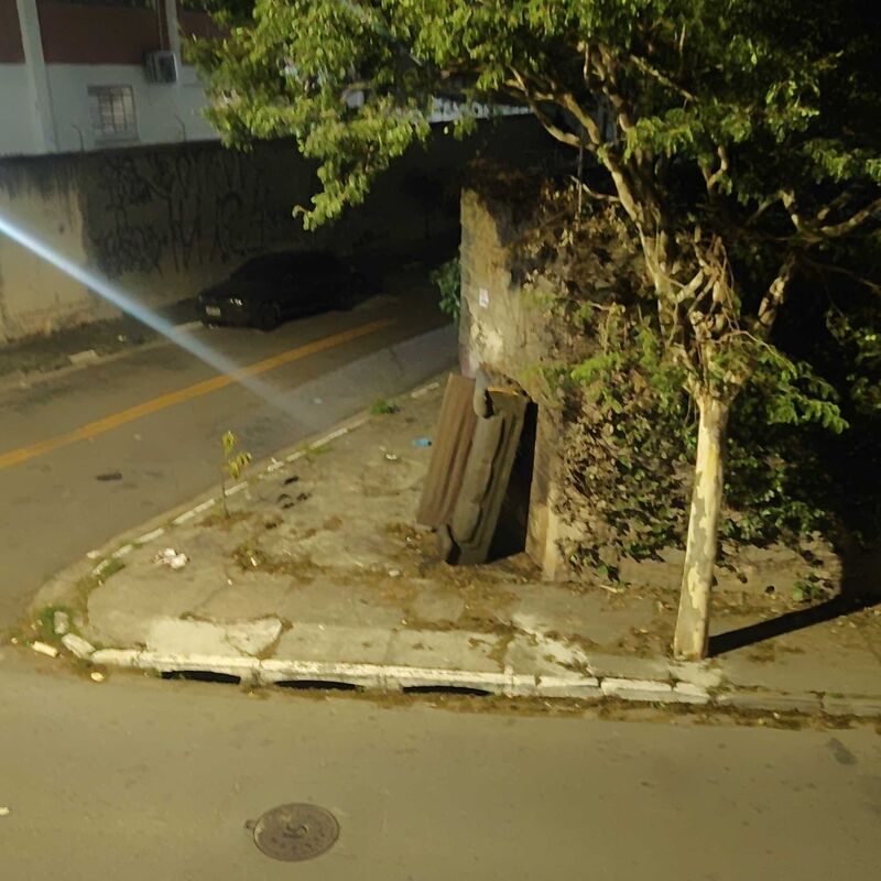 Imagem da publicação