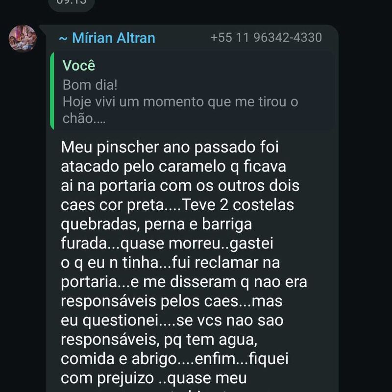 Imagem da publicação