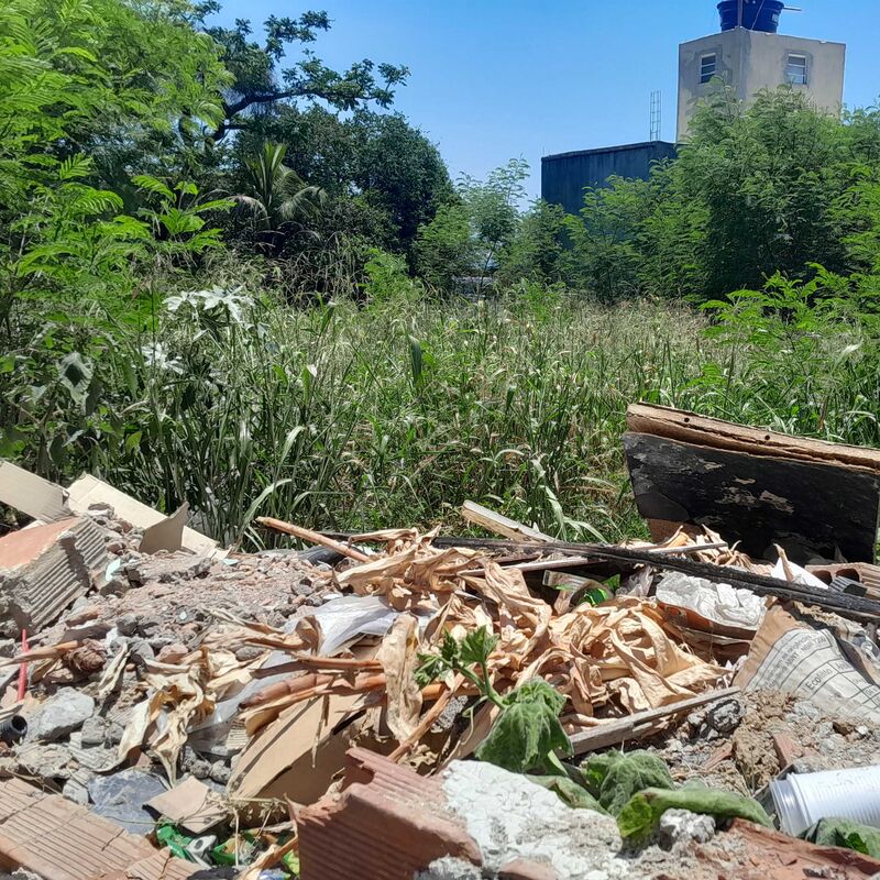 Imagem da publicação