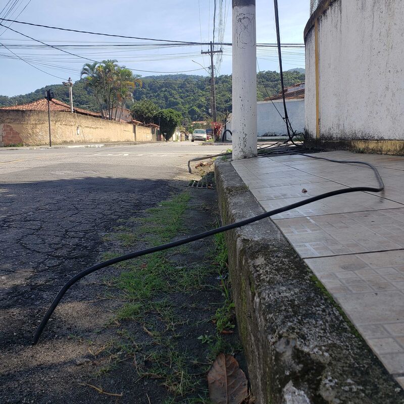 Imagem da publicação