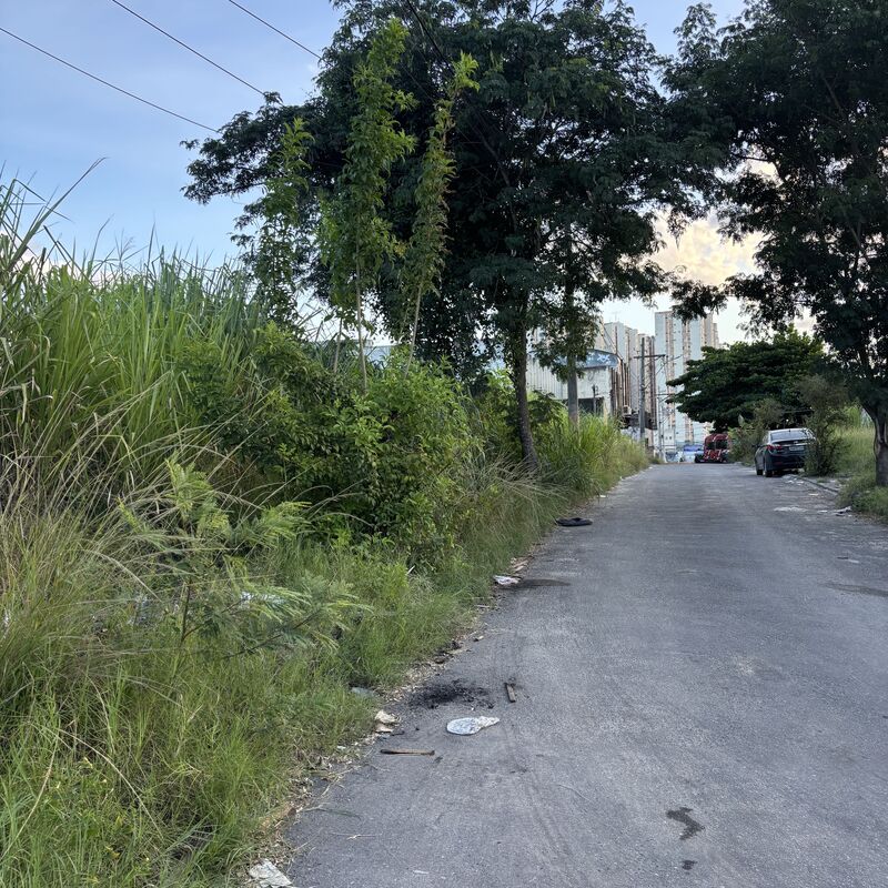 Imagem da publicação