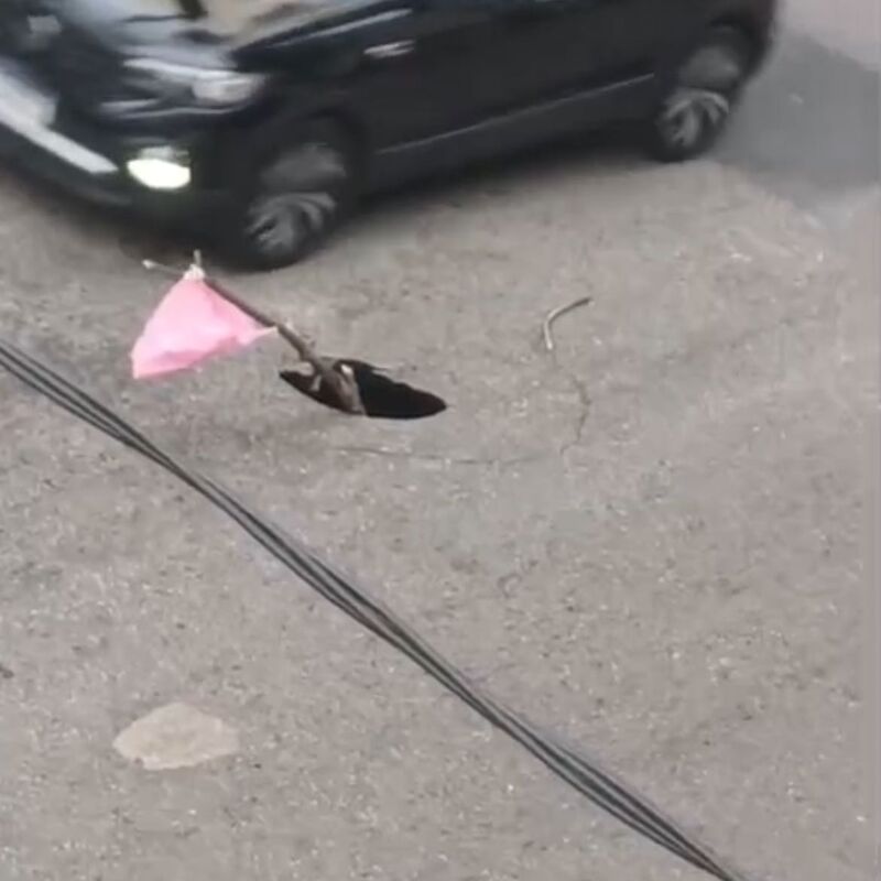 Imagem da publicação