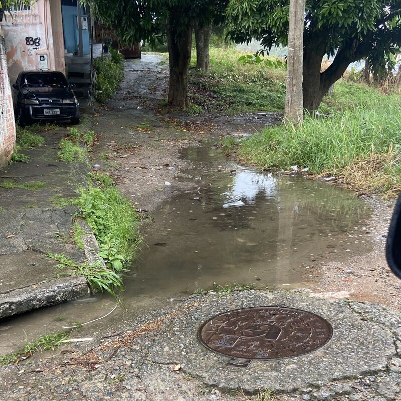 Imagem da publicação