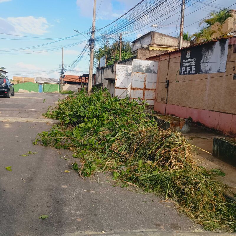 Imagem da publicação