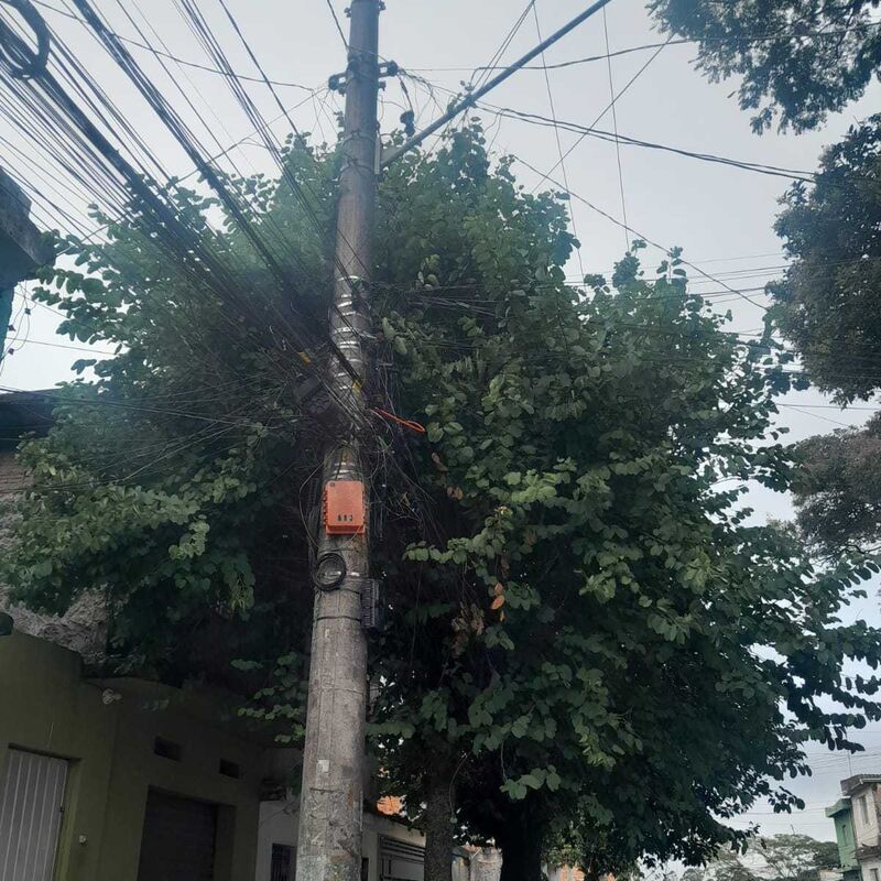 Imagem da publicação