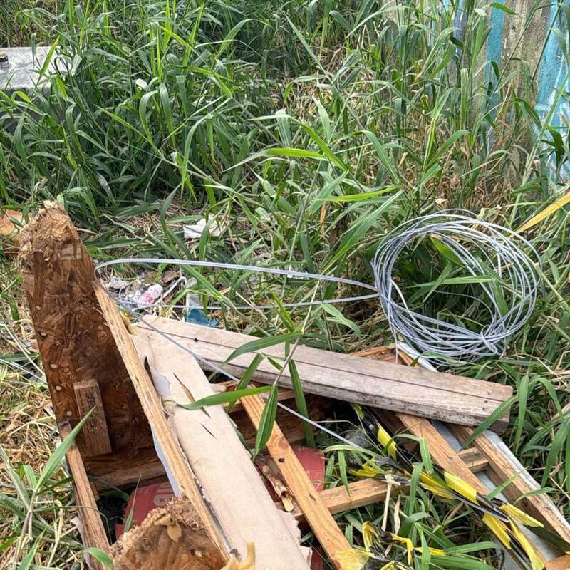 Imagem da publicação