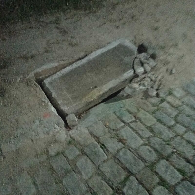 Imagem da publicação