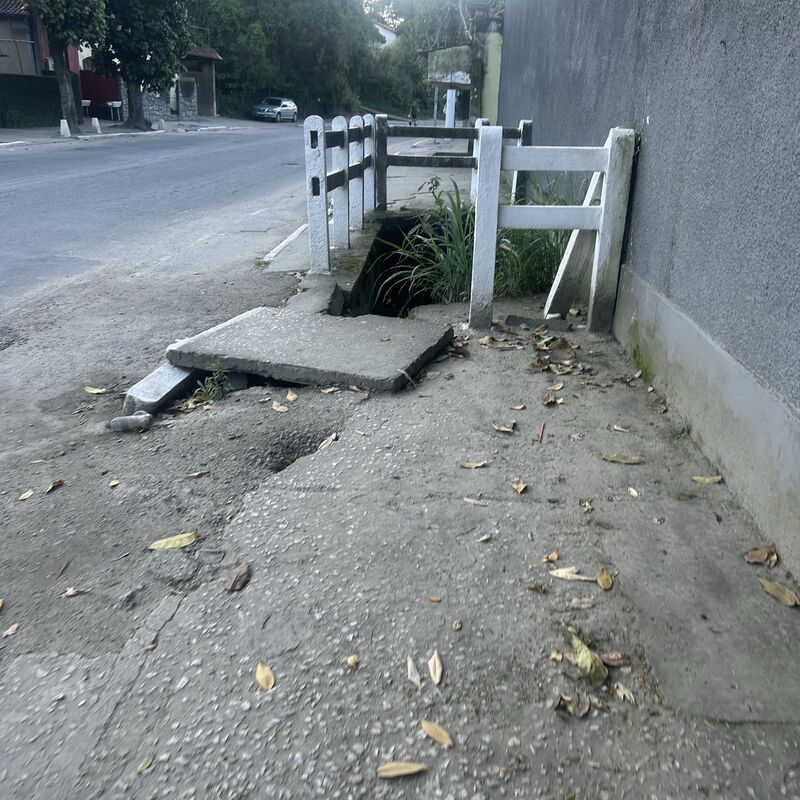 Imagem da publicação