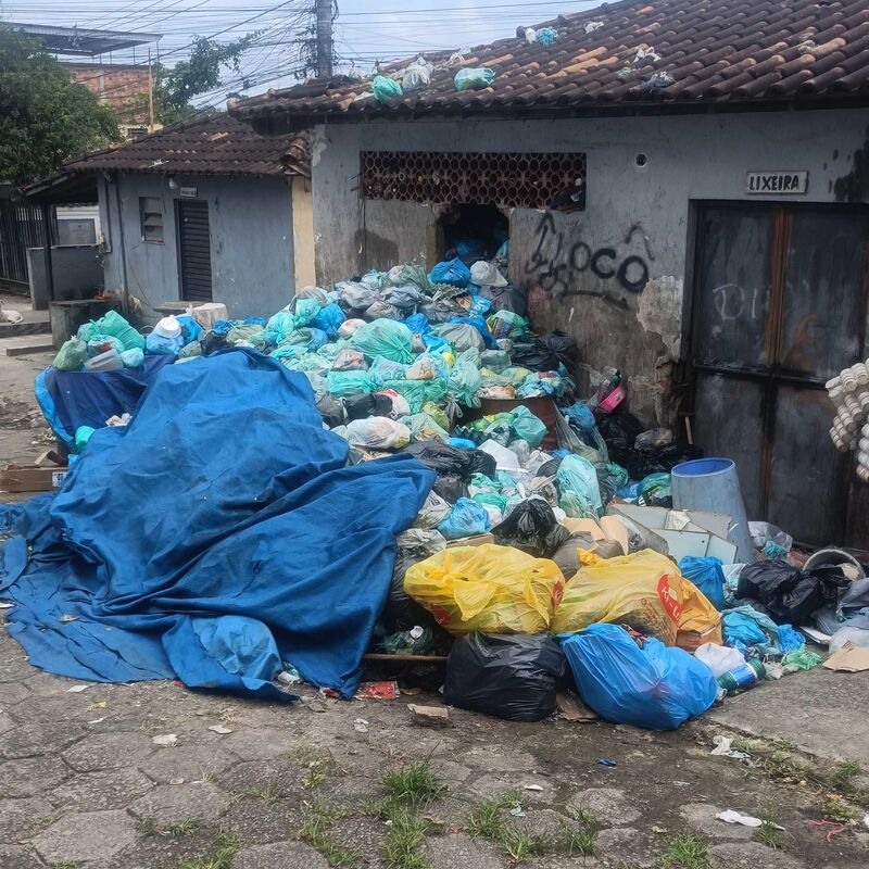 Imagem da publicação