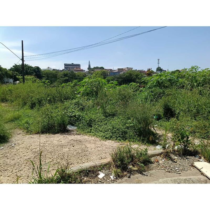 Imagem da publicação