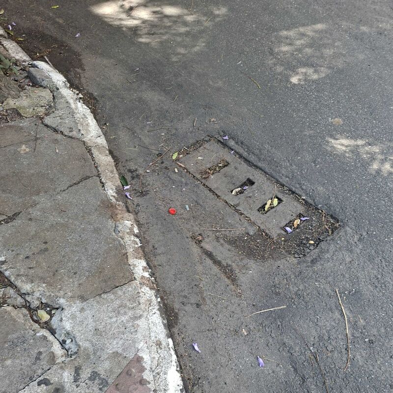 Imagem da publicação