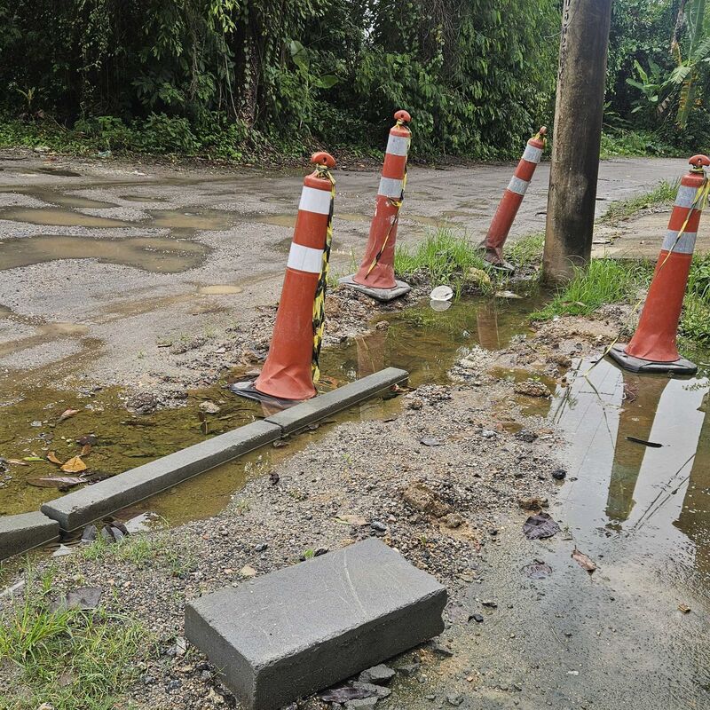 Imagem da publicação