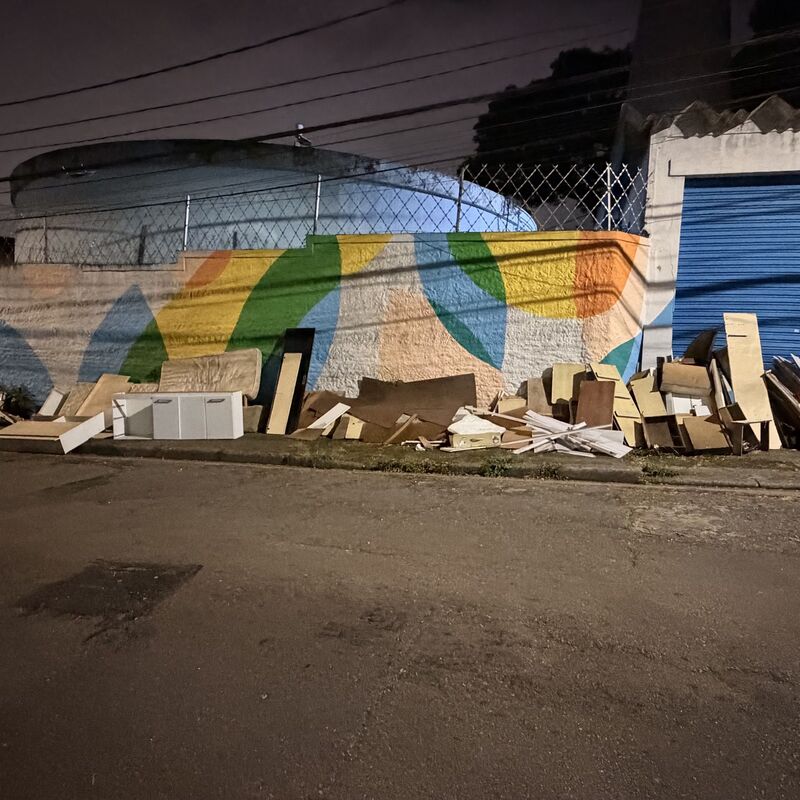 Imagem da publicação