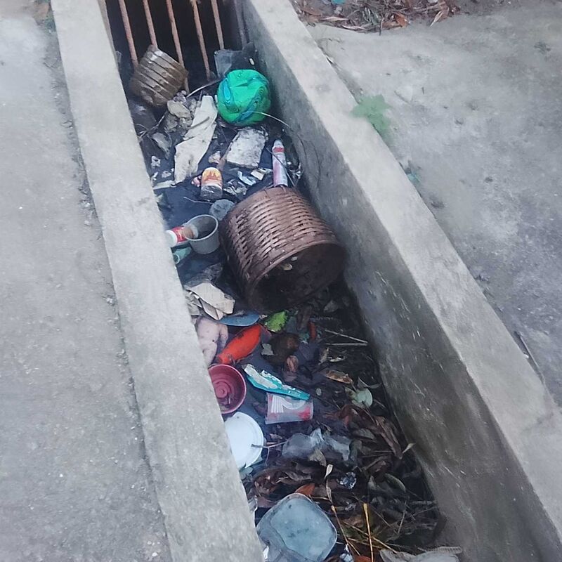 Imagem da publicação