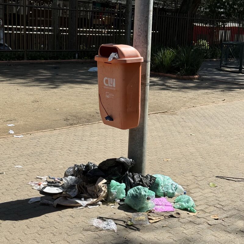 Imagem da publicação