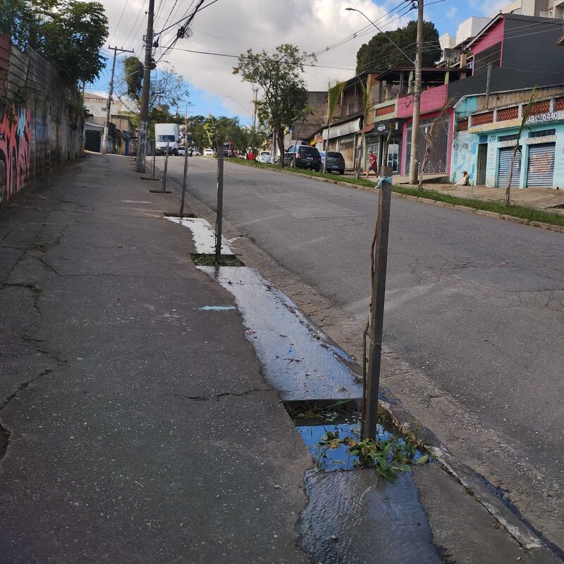 Imagem da publicação