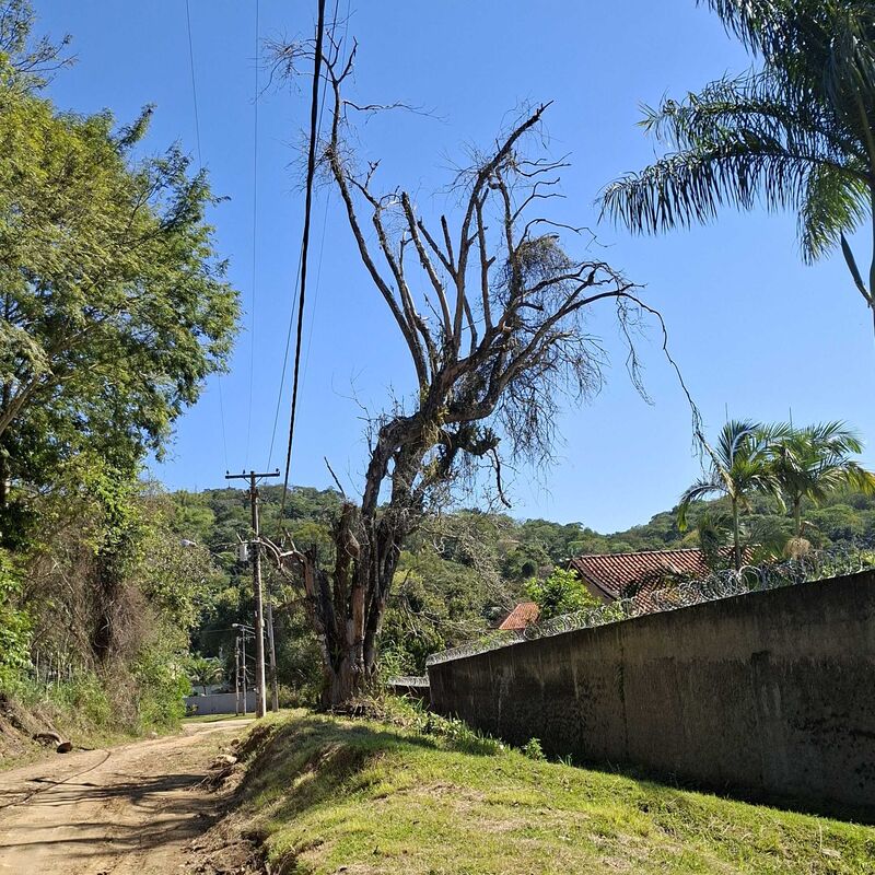 Imagem da publicação