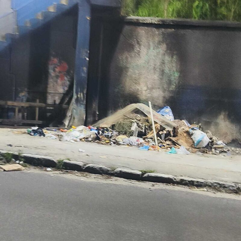 Imagem da publicação