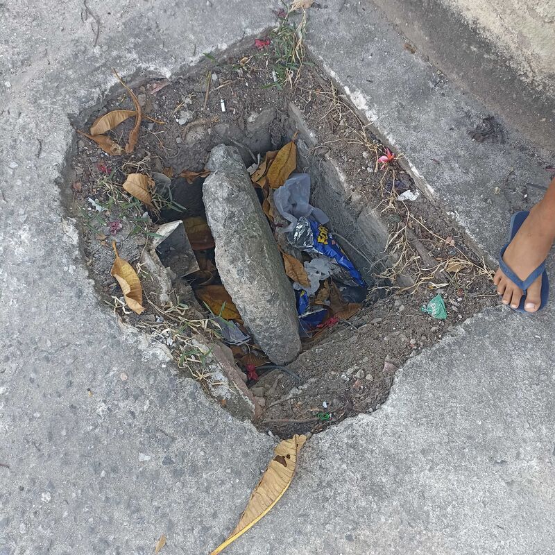 Imagem da publicação