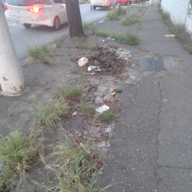 Imagem da publicação