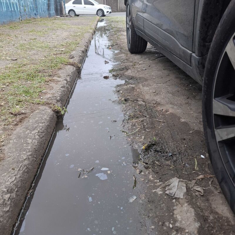 Imagem da publicação