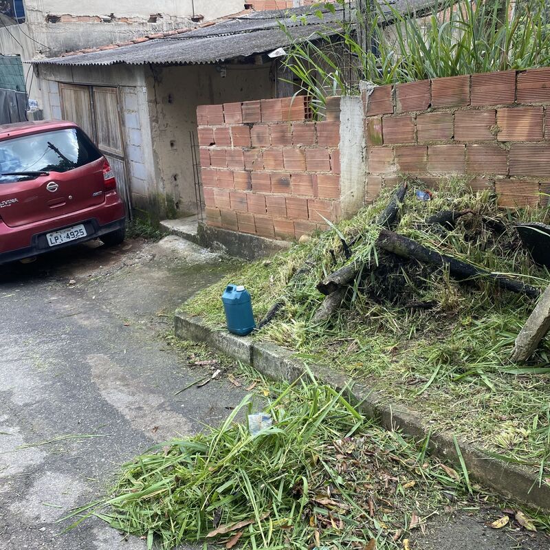 Imagem da publicação