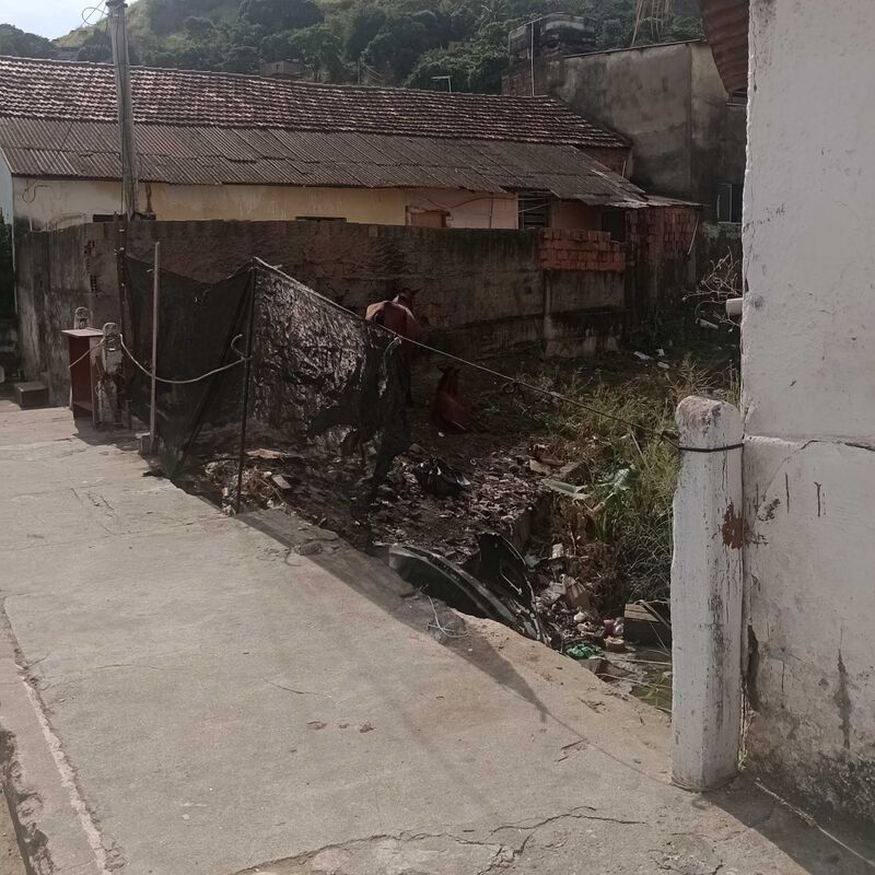 Imagem da publicação