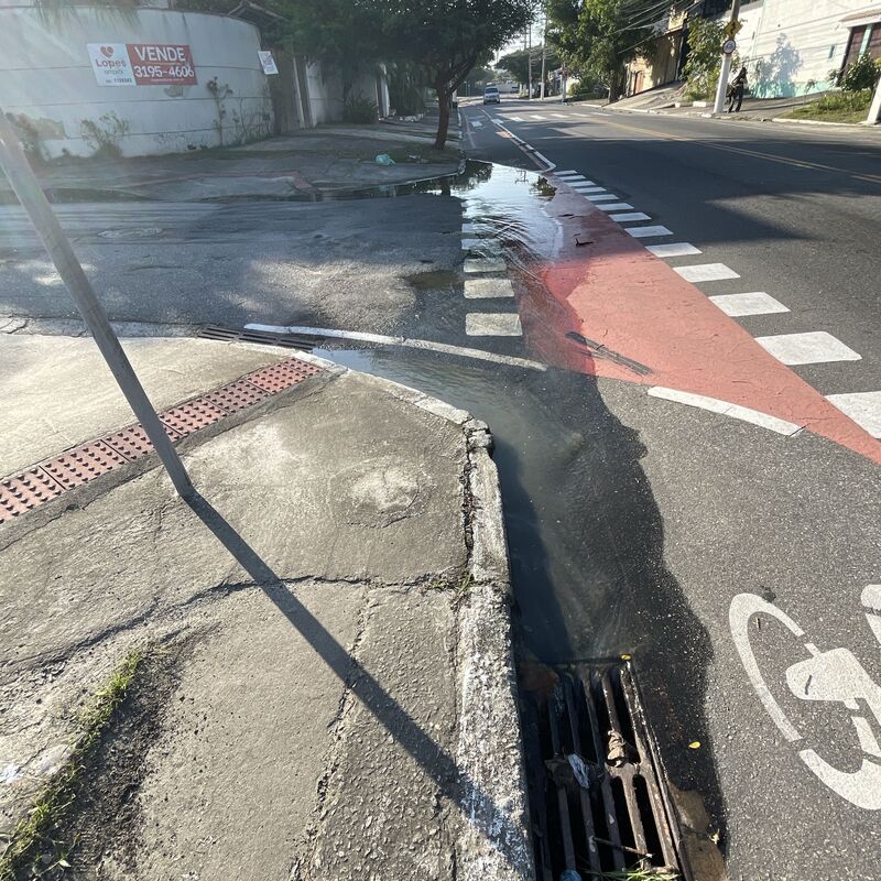 Imagem da publicação