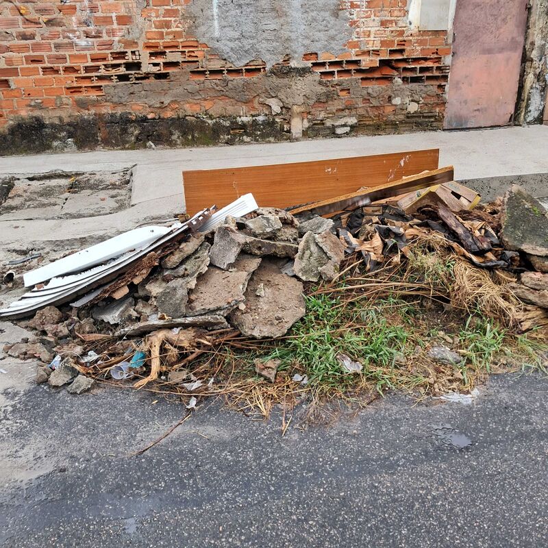 Imagem da publicação