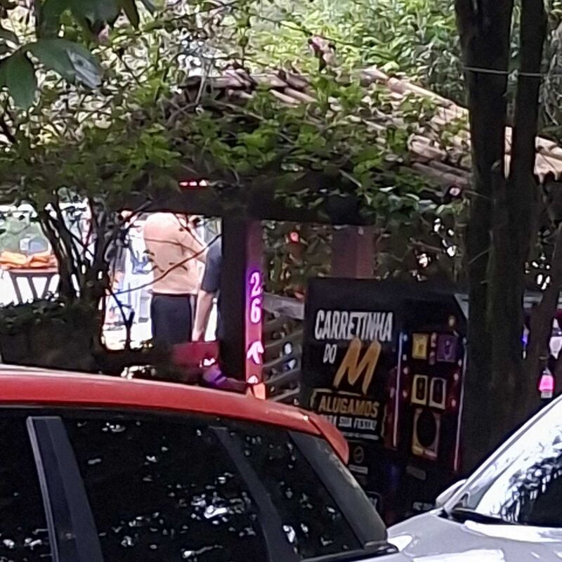 Imagem da publicação