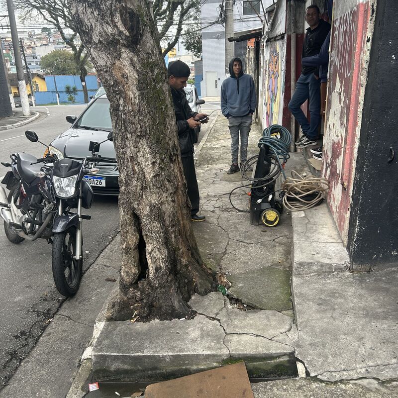 Imagem da publicação