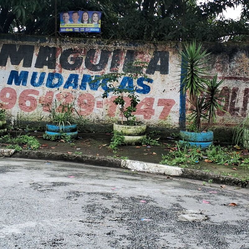 Imagem da publicação