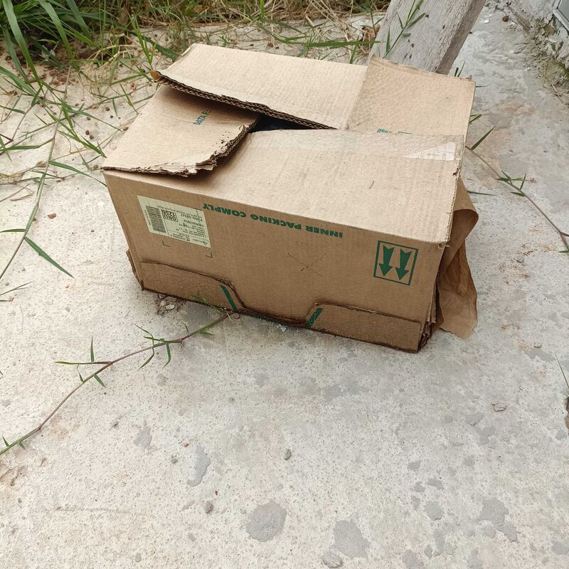 Imagem da publicação