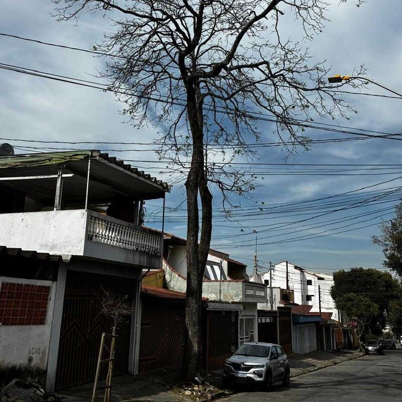 Imagem da publicação