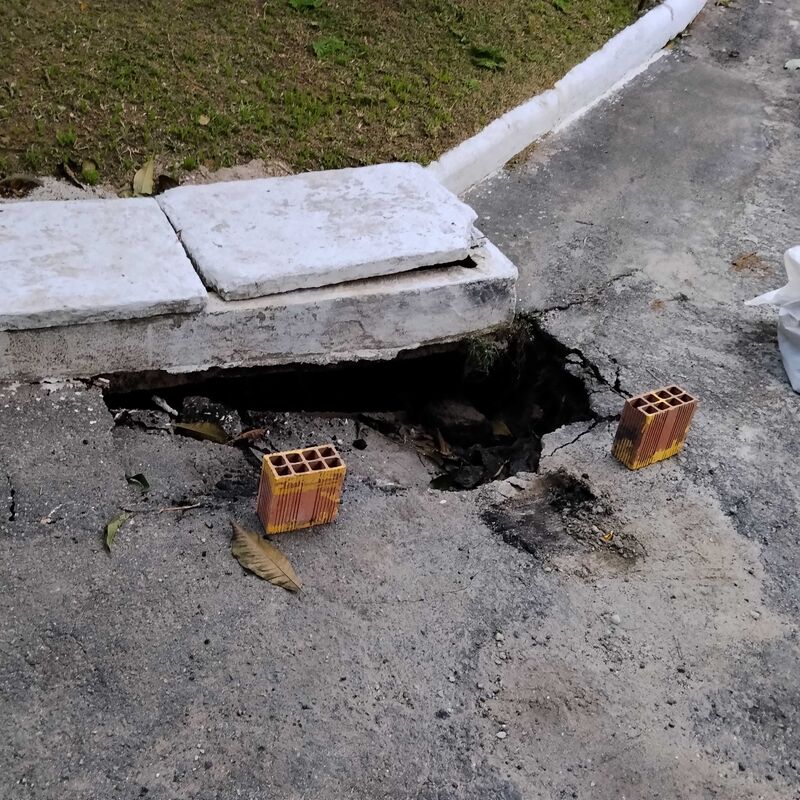 Imagem da publicação