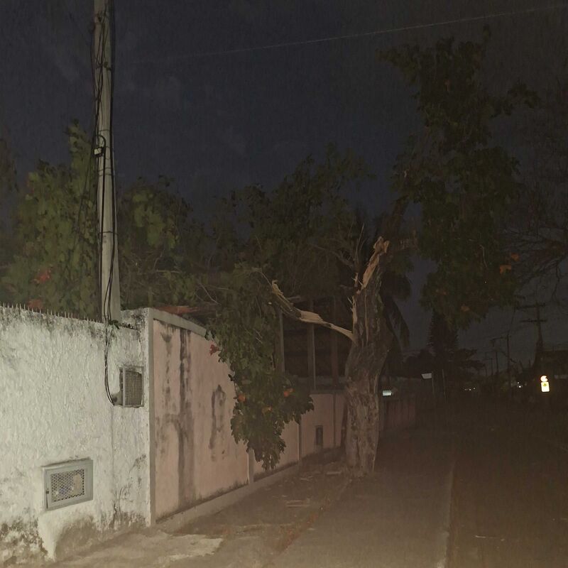 Imagem da publicação