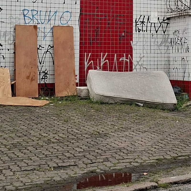 Imagem da publicação