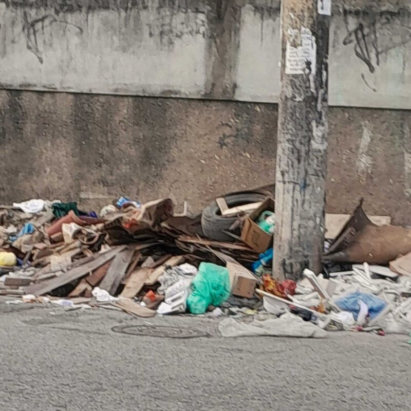 Imagem da publicação