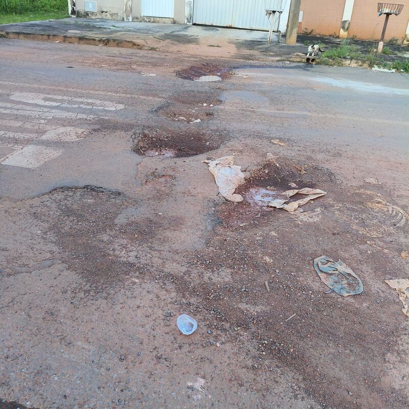 Imagem da publicação