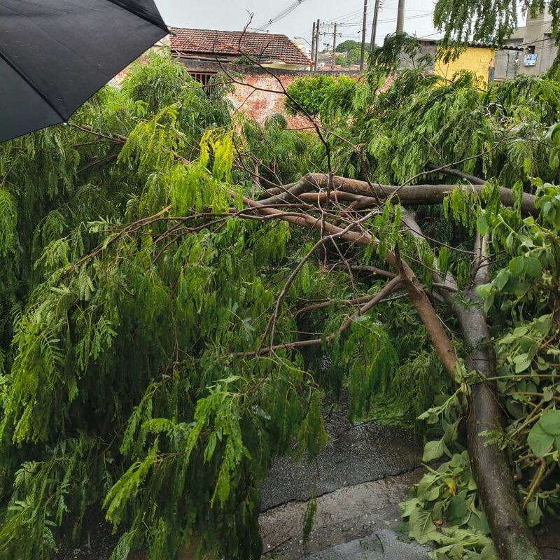 Imagem da publicação