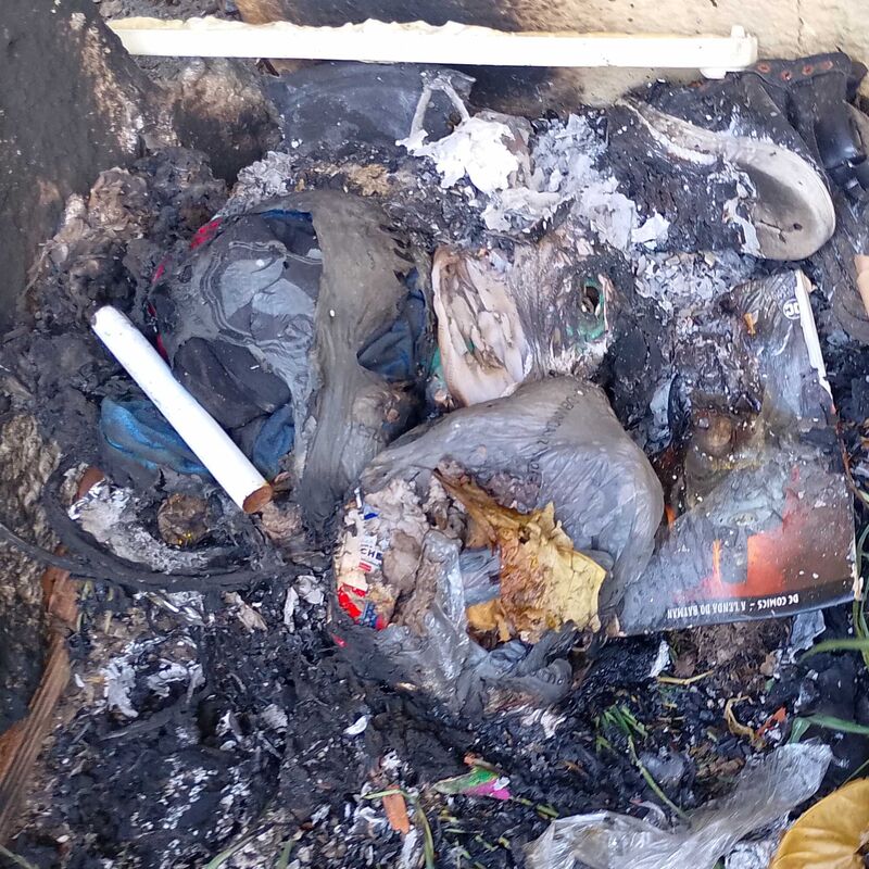 Imagem da publicação