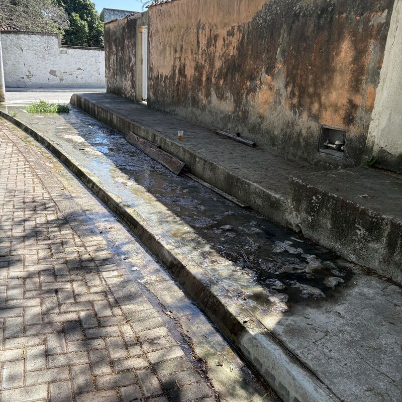 Imagem da publicação