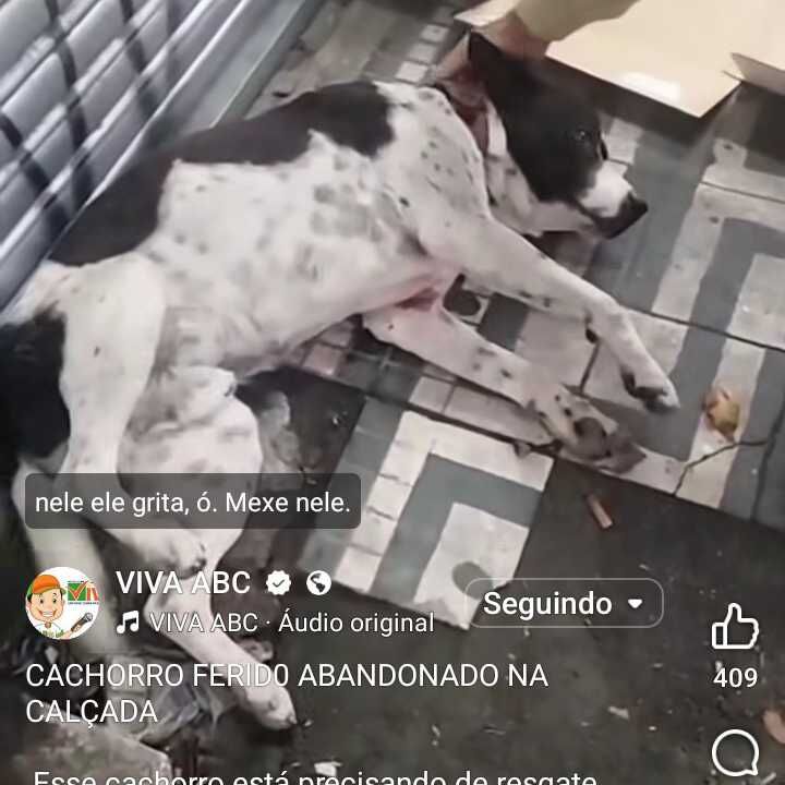 Imagem da publicação