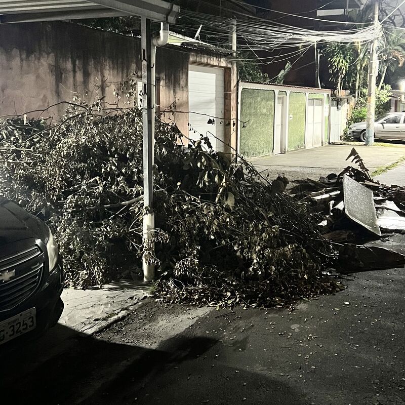 Imagem da publicação