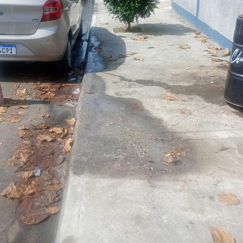 Imagem da publicação