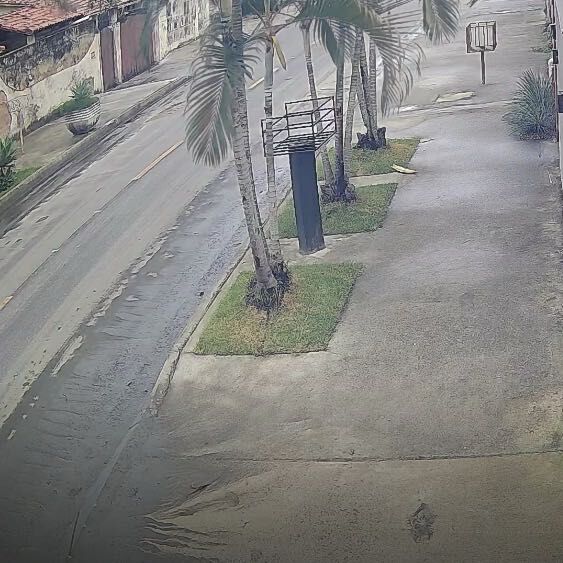 Imagem da publicação