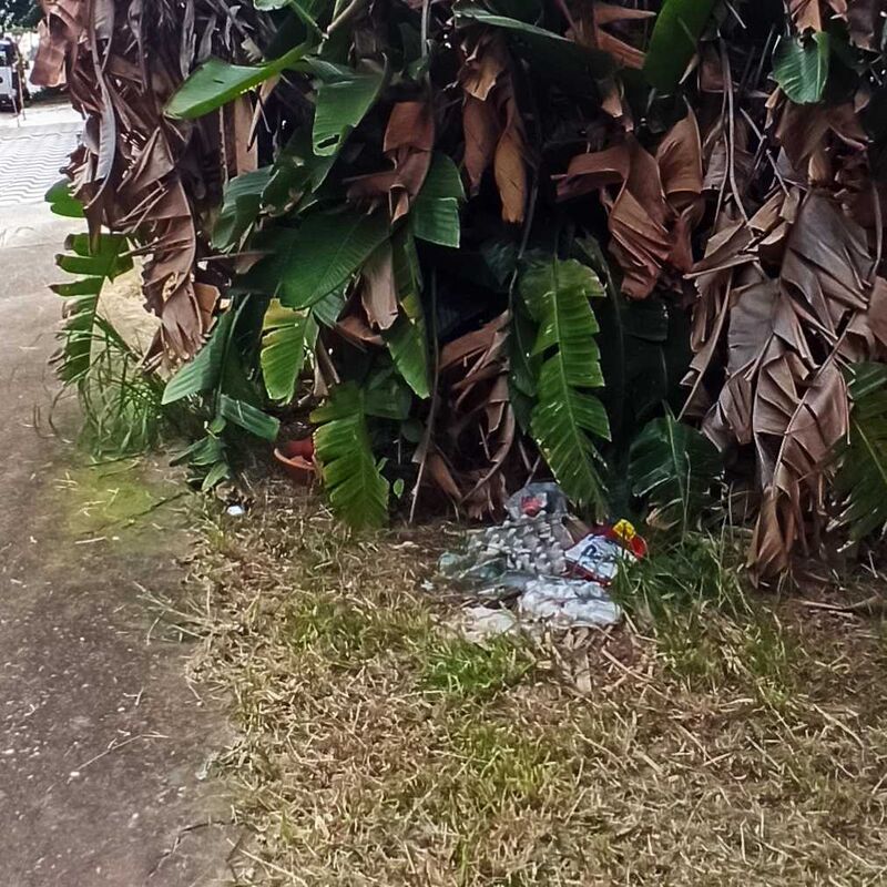 Imagem da publicação