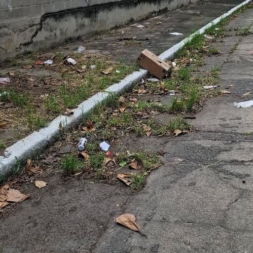 Imagem da publicação