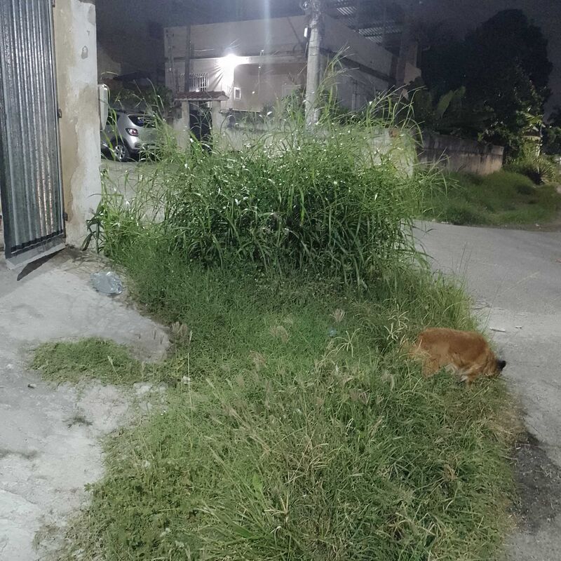 Imagem da publicação