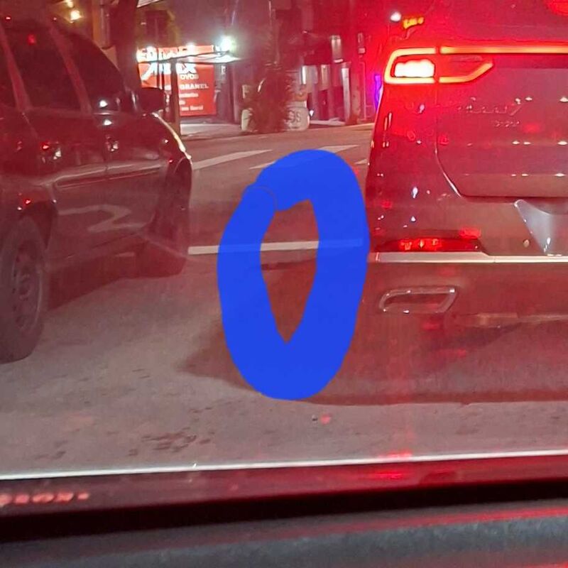 Imagem da publicação